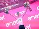 Giro d'Italia: la Novara-Fossano regala spettacolo, Merlier trionfa in viale Regina Elena [FOTOGALLERY]