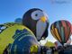Mondovì torna ad essere capitale italiana delle mongolfiere: ecco le forme speciali che voleranno all'Epifania