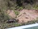 MALTEMPO/ Frana a Ceva in località Mombrignone, lungo la statale 28