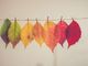 Appuntamenti nella Granda per questo fine settimana d’autunno