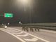 Castagnito, cinghiali causano doppio incidente in autostrada: coinvolte tre auto e un furgone