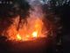 Incendio nelle campagne di Clavesana, le fiamme spente dai Vigili del Fuoco di Dogliani