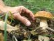 Primo week end d’autunno: ecco come puoi trascorrerlo in Granda