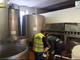 Operazione &quot;Verum et oleum”: oltre 2,3 milioni di litri irregolari di olio extra vergine d'oliva, controlli anche in Piemonte