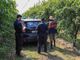 Controlli dei Carabinieri nel distretto frutticolo della Granda: su 150 lavoratori solo 3 irregolari