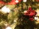 Dal GinItaly ai mercatini di Natale: ecco tutti gli appuntamenti per trascorrere la domenica dell'Immacolata in Granda
