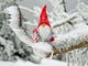 La magia del Natale fa da sfondo agli eventi organizzati nella Granda per il ponte dell’Immacolata