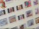 Pedopornografia online: nove persone arrestate in tutt'Italia, perquisizioni anche in Granda