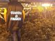Operazione &quot;Secret Garden&quot;: i finanzieri di Fossano bloccano uno dei maggiori centri di produzione di marijuana in provincia (VIDEO)
