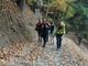 Cade in mountain bike nei boschi di Borgo San Dalmazzo. 41enne recuperato e trasportato a spalla verso l'ambulanza