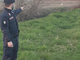 Cattura un airone bianco maggiore nella zona periferica della città: nei guai un 29enne di origini romene