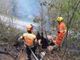 Castagno secolare in fiamme abbattuto ad Angrogna per evitare nuovi incendi