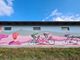 La pianura pinerolese si colora con un museo di murales a cielo aperto