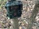 Carcasse di animali e una fototrappola nei boschi di Cavour