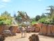 Zoom di Cumiana lancia ‘Grrreen’, il festival della biodiversità