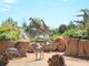 Il Bioparco Zoom di Cumiana lancia il secondo ‘Grrreen Festival’