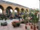 Fiori, piante e arte giapponese: domani nel centro di Cumiana