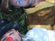 Cosa fanno due clown quando si incontrano? Si scopre a Torre Pellice
