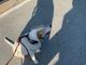 Un cane scivola nel Po, recuperato dai Vigili del fuoco