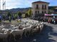 Attesa a Luserna San Giovanni per l’1 e il 2 novembre, la Fiera dei Santi inizierà già oggi