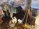 Nuova vita per il presepe di Luserna e la piazza di San Giovanni