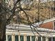 Perosa Argentina: camminano sul tetto delle scuole medie