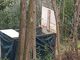 Trappole sulla collina di Pinerolo, denunciato un bracconiere