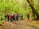 A Pinerolo si attraversa il bosco per conoscere la diversità