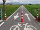 Diciotto ciclisti denunciati e multati a Vigone perché percorrevano la ciclabile per svago