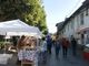 Cavalli e rapaci in arrivo a Torre Pellice per Colori &amp; Sapori