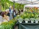 Riscoprire il patrimonio ambientale di Torino: a fine maggio arrivano il Festival del Verde e FLOR
