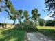 La Pellerina “dimenticata”: decine di alberi spezzati e abbandonati al proprio destino nel parco [FOTO]