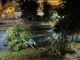 Grandine e vento forte: Torino di nuovo ostaggio del maltempo: alberi caduti e voli deviati nella serata di ieri
