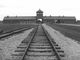 ‘Auschwitz è di tutti’: incontro a più voci con la Fidapa di Pinerolo