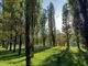 Ruota Panoramica ai Giardini Ginzburg: quando sarà installata, quanto rimane e i dubbi sollevati