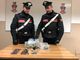 Chiusi 'minimarket della droga', due insospettabili finiscono nel mirino dei carabinieri di Ivrea (FOTO)