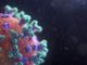 Covid-19, il virus continua ad arretrare: 43 positivi in più rispetto a ieri e 12 decessi, di cui 7 a Torino