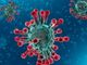 Coronavirus: ancora tre persone guarite a Torino, mentre altre 659 aspettano il secondo tampone negativo