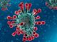 Coronavirus in Piemonte: oltre 22 mila i guariti, dieci i decessi comunicati oggi dall'Unità di Crisi