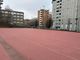 Giardini Salerno: in borgo San Paolo da anni una &quot;giungla urbana&quot; che aspetta di essere sistemata [FOTO]
