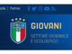 GIOVANILI NAZIONALI, STOP DEFINITIVO (con poche parole...) - Ora tocca ai Dilettanti?