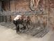 A Porta Nuova prima velostazione automatizzata: 100 posti per bici a 80 centesimi al giorno (FOTO e VIDEO)