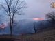 Valchiusella tra le fiamme, l'origine del rogo sarebbe dolosa. Il Comune di Rueglio: &quot;Vergognatevi&quot;