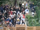 Nuova protesta No Tav in Val Susa, lancio di pietre e tensione con la Polizia (VIDEO)
