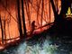 Incendi, alberi caduti e tetti divelti, il vento sconvolge Torino e provincia: 212 interventi in 24 ore per i vigili del fuoco