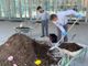 Cirio risponde agli ambientalisti: “Grazie del letame, lo useremo come concime per il giardino del grattacielo”