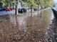 Lungo Dora Firenze allagato, il grido di dolore di un lettore: &quot;Appena piove, finisce sempre così&quot; [FOTO]