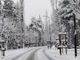 Dopo tanta primavera, è tornato il Generale Inverno: la neve ha imbiancato tutte le vallate torinesi [FOTO]