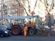 Largo Giulio Cesare tra spaccio e scarsa illuminazione: al via le potature degli alberi