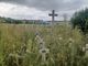 Fiori e lumini rubate dalle tombe del Monumentale. Afc: &quot;Nel 2023 solo 7 presunti furti&quot;. Ma molti non denunciano